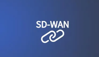 为什么SD-WAN要不断提升加密技术