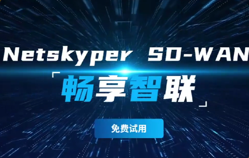 受欢迎的企业组网具有哪些应用特性